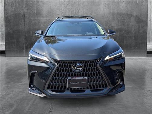2025 Lexus NX 350h Premium