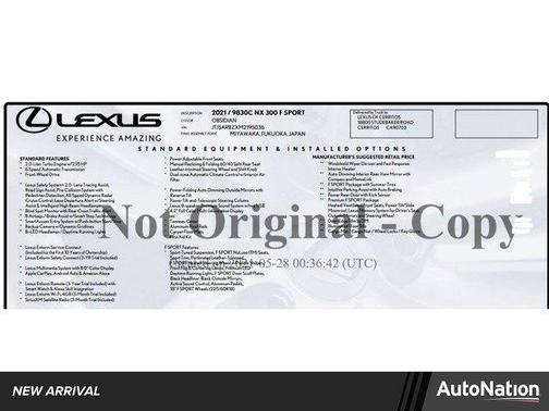 2021 Lexus NX 300 F Sport