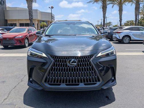 2024 Lexus NX 250 Premium