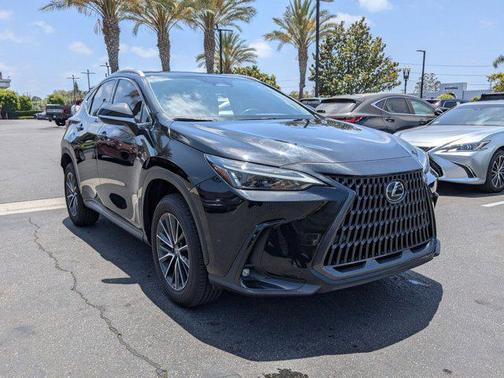 2024 Lexus NX 250 Premium