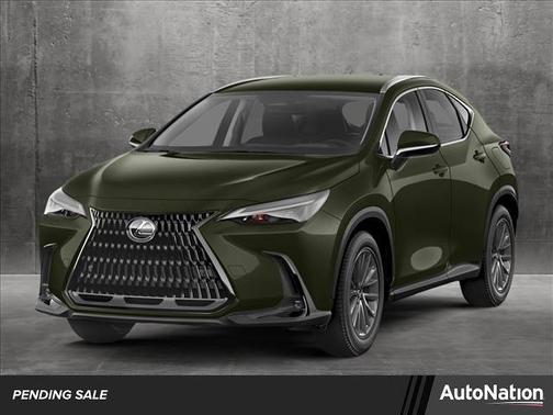 2025 Lexus NX 250 Base