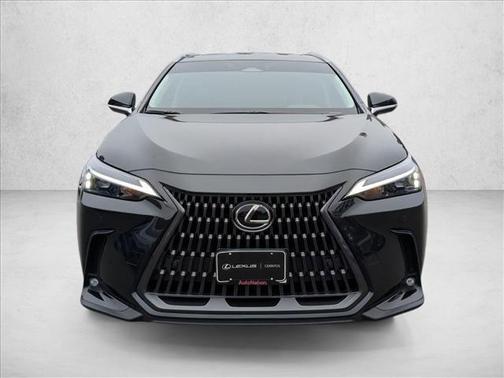 2025 Lexus NX 350h NX 350h