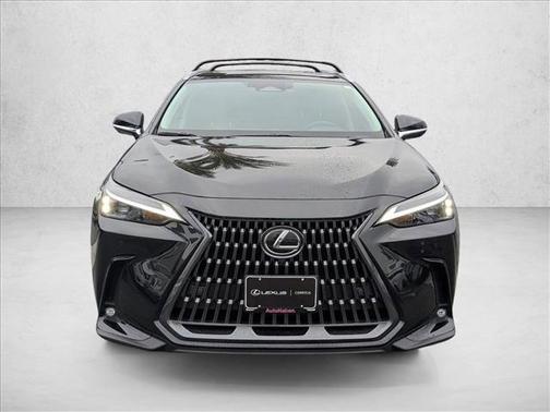 2025 Lexus NX 350h Premium