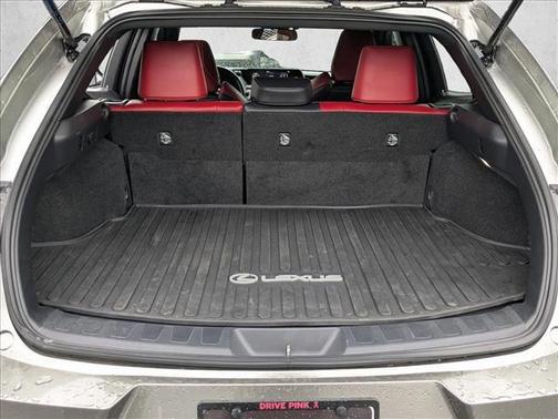 2021 Lexus UX 250h F Sport