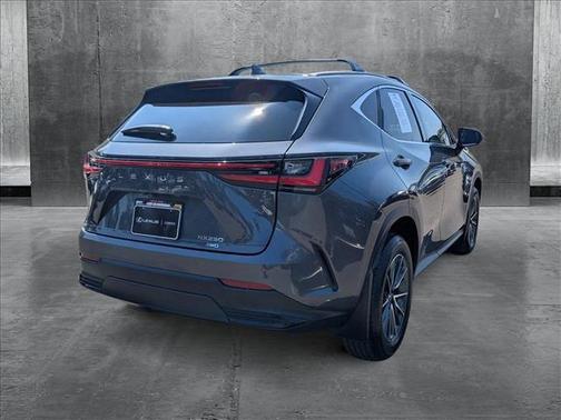 2025 Lexus NX 250 Premium
