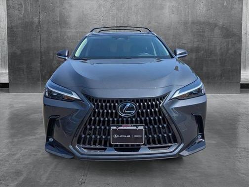 2025 Lexus NX 250 Premium