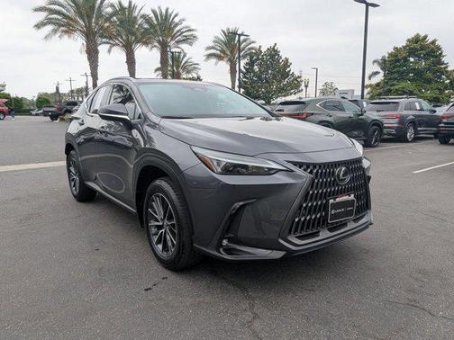 2025 Lexus NX 250 Base