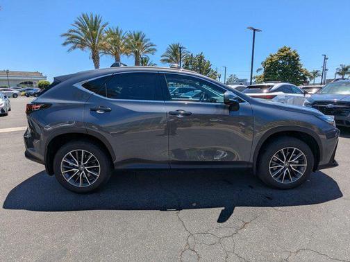 2025 Lexus NX 350h Premium