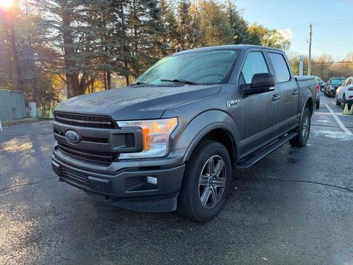 Magnetic 2019 Ford F-150 XLT