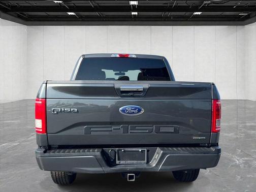 Magnetic 2016 Ford F-150 XLT