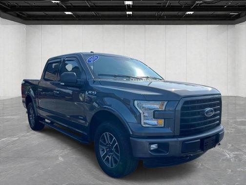 Magnetic 2016 Ford F-150 XLT