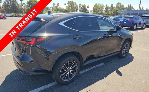 2024 Lexus NX 350 Premium