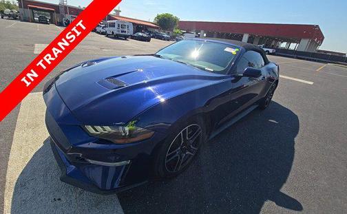 Blue 2019 Ford Mustang EcoBoost Premium