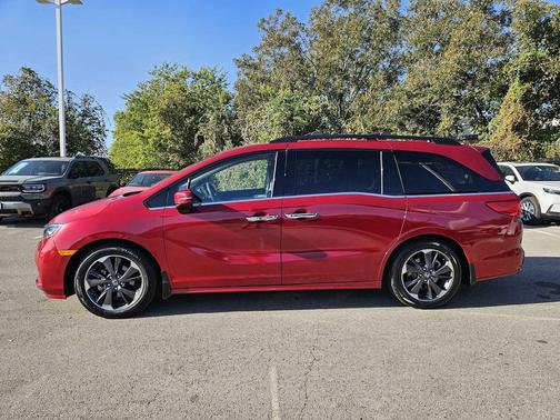 2023 Honda Odyssey Elite