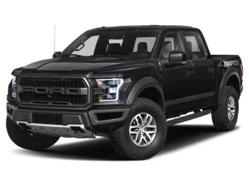 Agate Black Metallic 2019 Ford F-150 Raptor