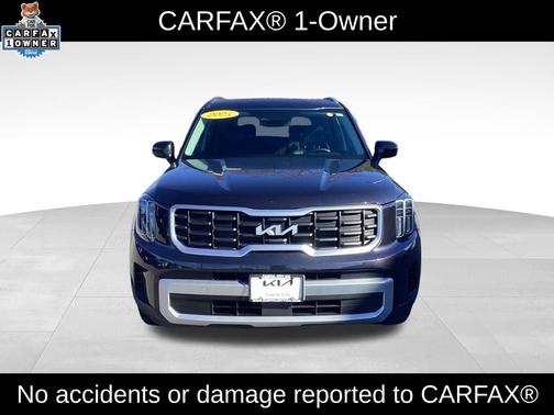 Panthera Metal 2025 Kia Telluride S