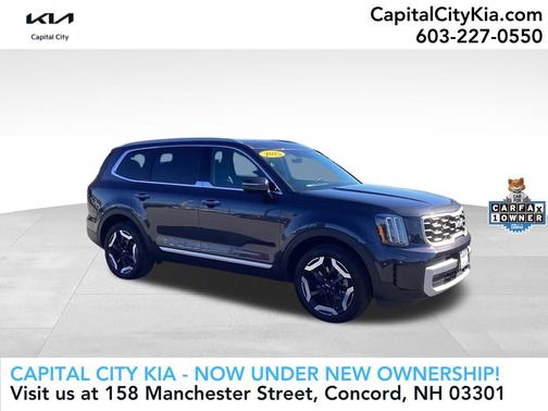 Panthera Metal 2025 Kia Telluride S