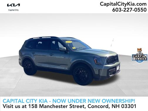 Green 2025 Kia Telluride SX-Prestige X-Line
