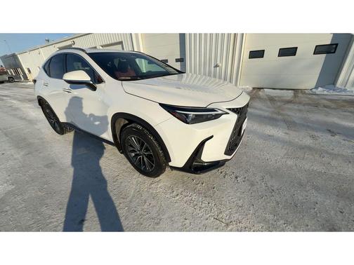 2025 Lexus NX 350 Base