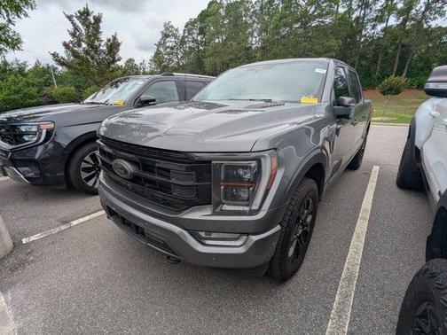 Gray Metallic 2023 Ford F-150 Platinum