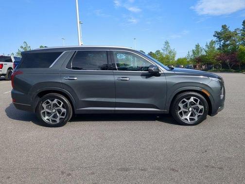 Rainforest 2022 Hyundai PALISADE Calligraphy