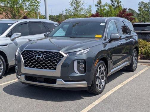 Rainforest 2022 Hyundai PALISADE Calligraphy