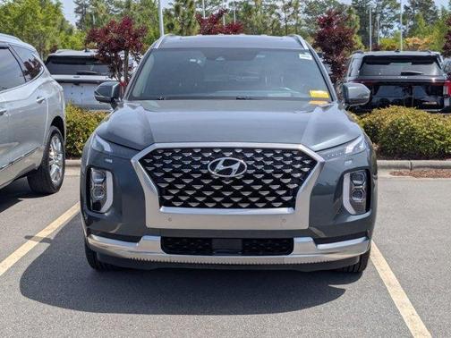 Rainforest 2022 Hyundai PALISADE Calligraphy