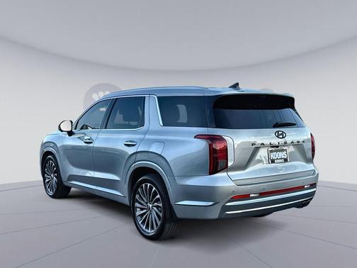 Typhoon Silver 2025 Hyundai PALISADE Calligraphy