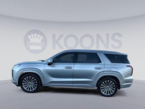 Typhoon Silver 2025 Hyundai PALISADE Calligraphy