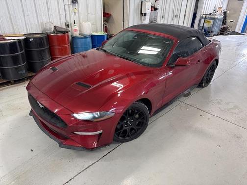 2019 Ford Mustang EcoBoost Premium