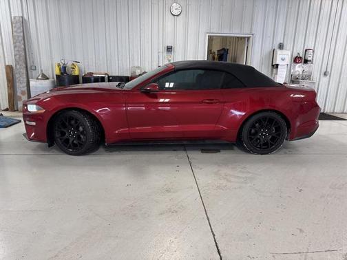 2019 Ford Mustang EcoBoost Premium