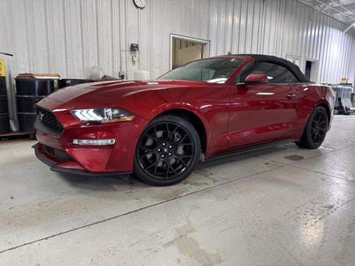 2019 Ford Mustang EcoBoost Premium