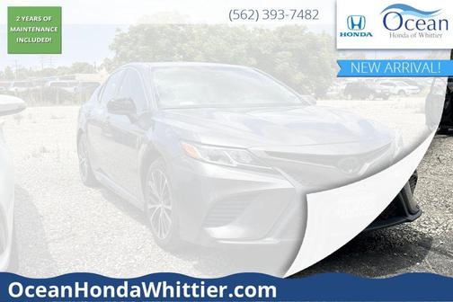 Predawn Gray Mica 2019 Toyota Camry SE