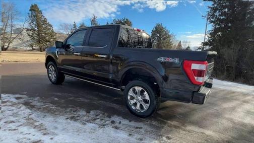 2021 Ford F-150 Platinum