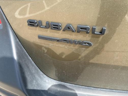 Autumn Green Metallic 2024 Subaru Outback Wilderness