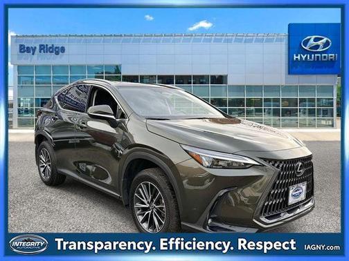 2025 Lexus NX 350h Premium