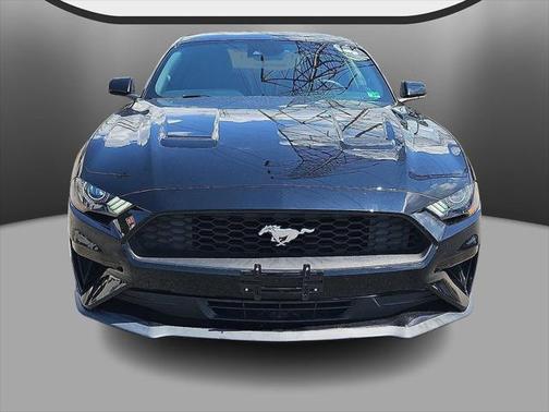 2022 Ford Mustang EcoBoost