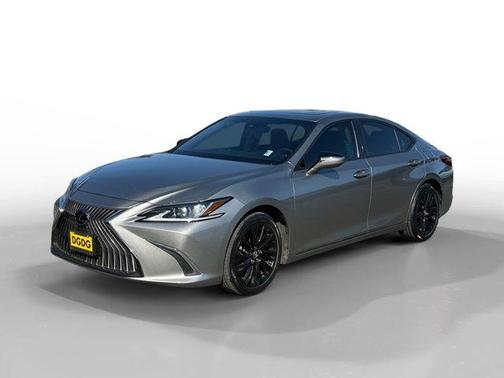 Silver 2019 Lexus ES 350 350
