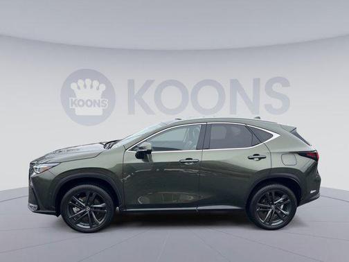 2024 Lexus NX 450h+ Luxury