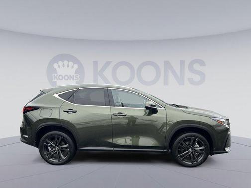 2024 Lexus NX 450h+ Luxury