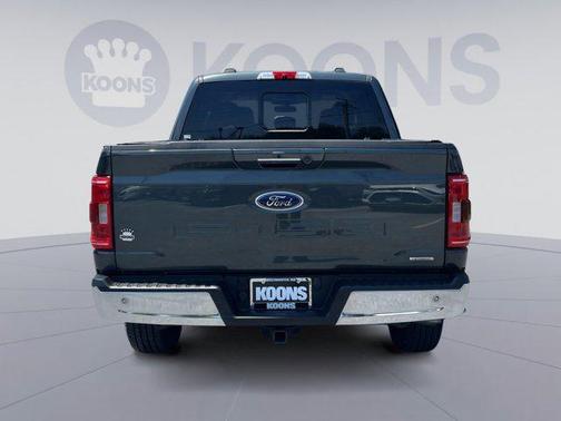 GUARD METALLIC 2021 Ford F-150 XLT