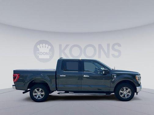 GUARD METALLIC 2021 Ford F-150 XLT