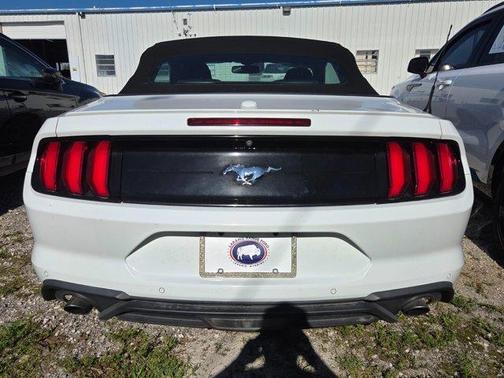 Oxford White 2019 Ford Mustang EcoBoost Premium