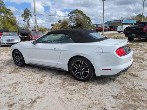 Oxford White 2019 Ford Mustang EcoBoost Premium