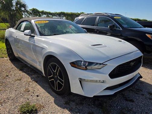 Oxford White 2019 Ford Mustang EcoBoost Premium