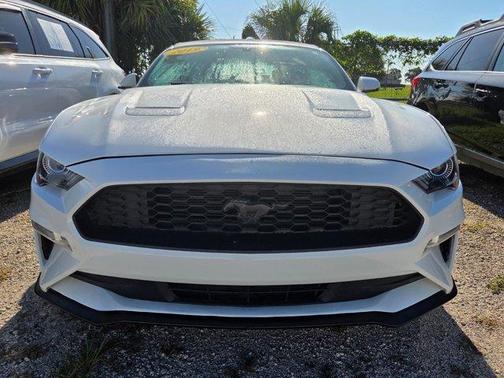 Oxford White 2019 Ford Mustang EcoBoost Premium