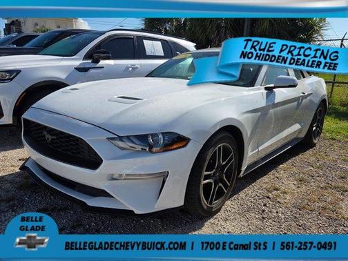 Oxford White 2019 Ford Mustang EcoBoost Premium