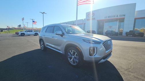 Typhoon Silver 2022 Hyundai PALISADE SEL