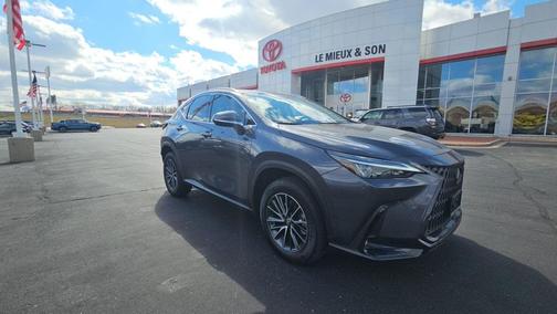 Cloudburst Gray 2023 Lexus NX 350 Premium