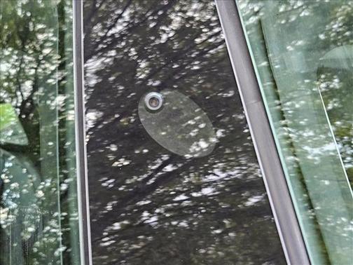 2019 Tesla Model 3 Performance